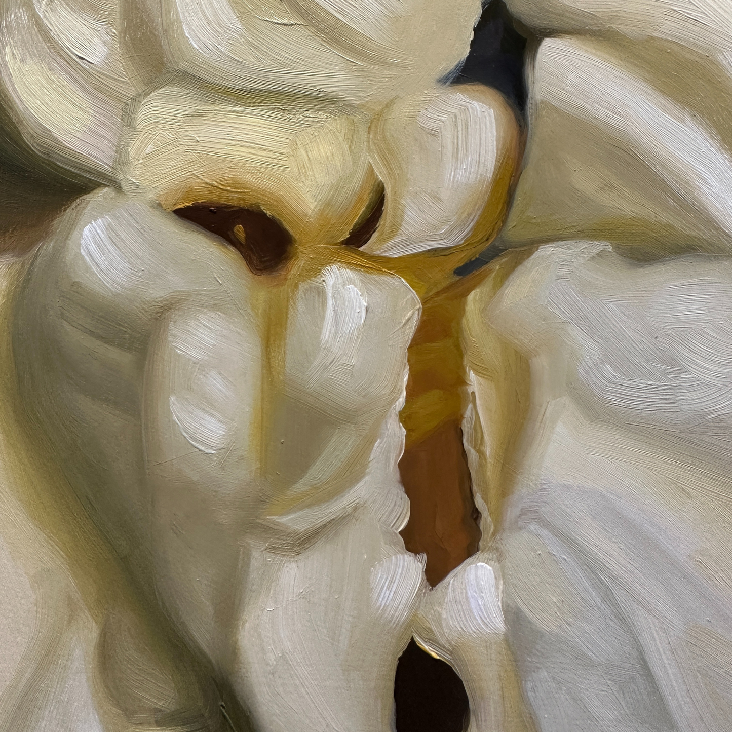 "Popcorn" 30x30" Painting