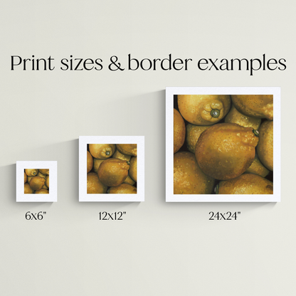 "Lemons" Giclée