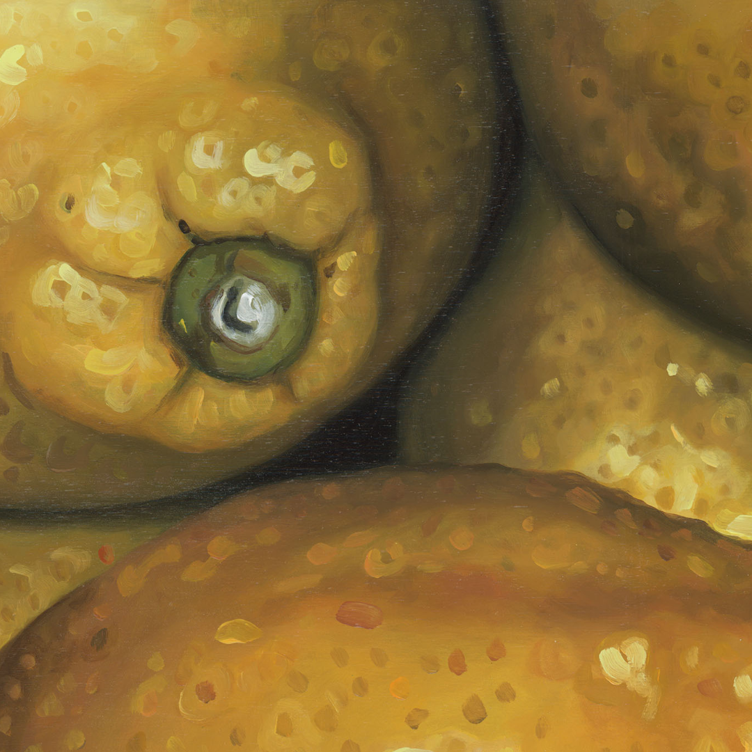 A close-up photograph of some of the finer details in the original painting "Lemons" by Hannah Kilby from Hannah Michelle Studios.