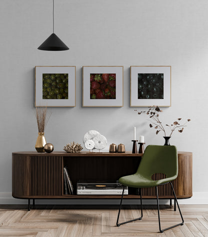 The original paintings “Strawberries", “Green Olives” and “Black Olives” by Hannah Kilby from Hannah Michelle Studios, displayed as fine art prints.